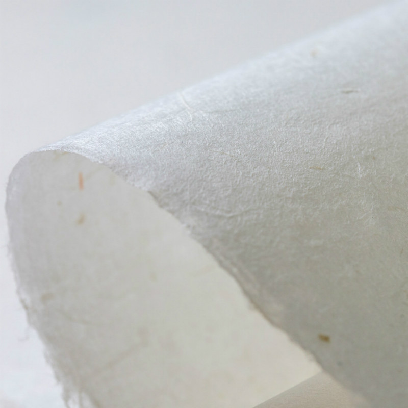 Cinese Yunlong Fibra Xuan Cart - Ink Blotter Paper recensione e prezzo